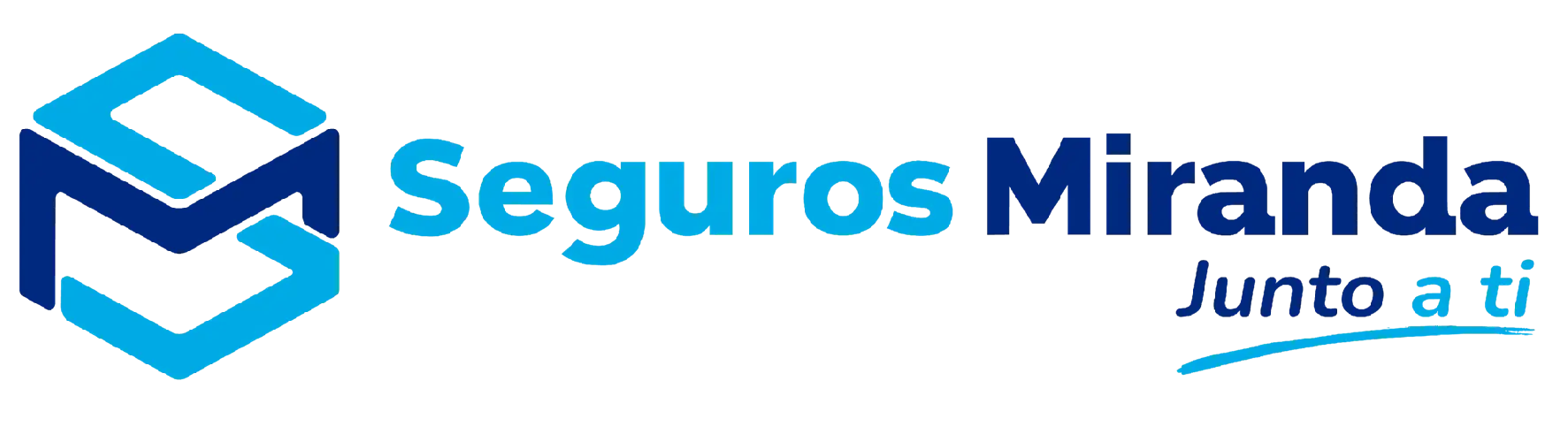 Seguro 1